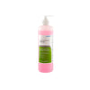 Schülke Microshield Chlorhexidine & Ethanol Handrub 500ml