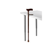 Cane Holder