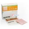 S&N Allevyn Non-Adhesive (10x10cm) 10's